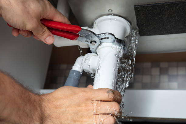 Best Carpet water damage restoration  in Montpelier, OH