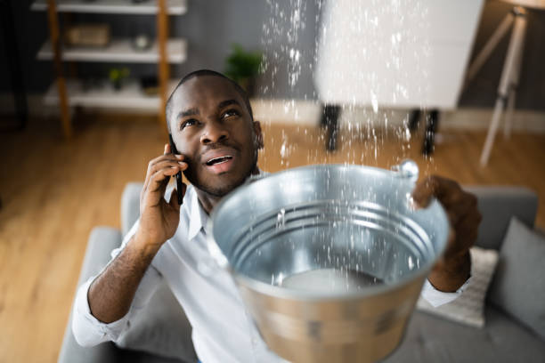 Best Flood restoration services  in Montpelier, OH