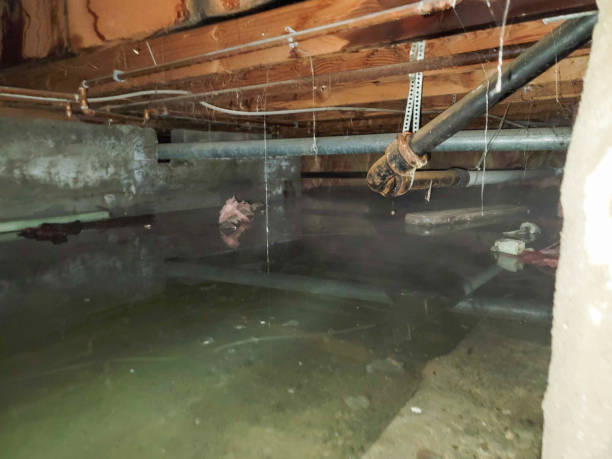 Sewage cleanup and water damage restoration in Montpelier, OH