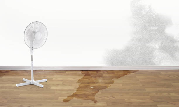 Best 24-hour water damage restoration  in Montpelier, OH