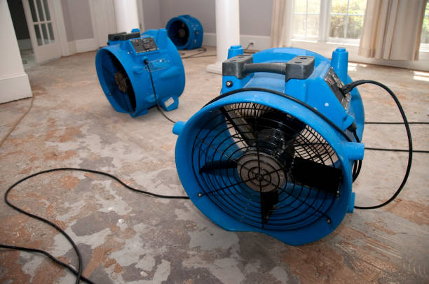 Best Professional water damage repair  in Montpelier, OH