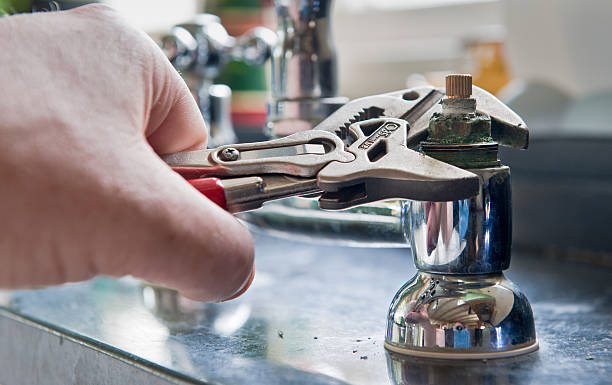 Best Mold removal after water damage  in Montpelier, OH