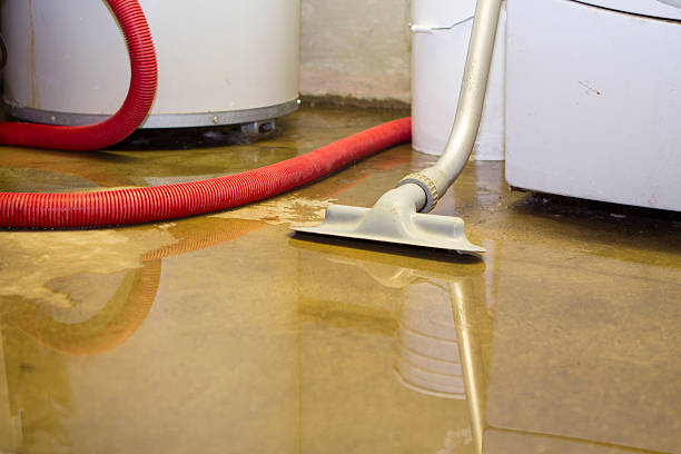 Local water damage restoration in Montpelier, OH