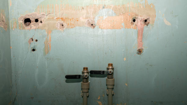Best Emergency water damage restoration  in Montpelier, OH