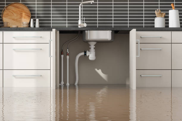 Best Water damage contractors near me  in Montpelier, OH
