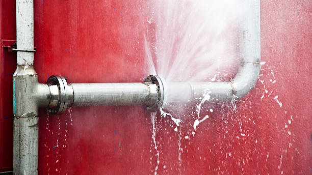 Best Water damage mitigation services  in Montpelier, OH